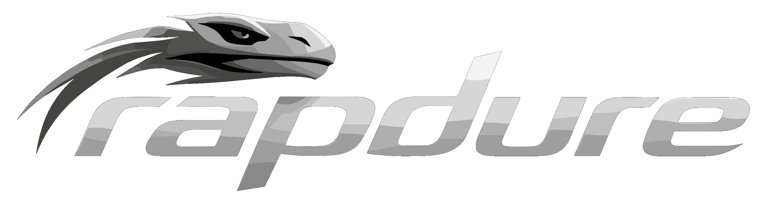 Rapdure logo